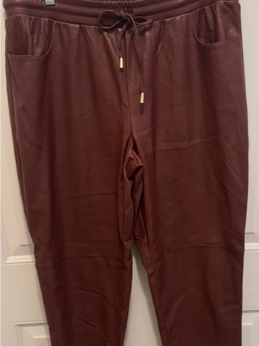 Candace Cameron Bure Faux Leather Jogger Pants - Wine-Medium P